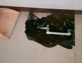 晋江卫生间测漏水多少钱